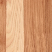 Hickory